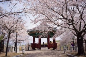 Du lịch Hàn Quốc không cần visa 2018